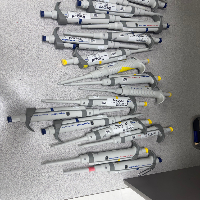 Eppendorf Research Single Channel Pipettes image 0